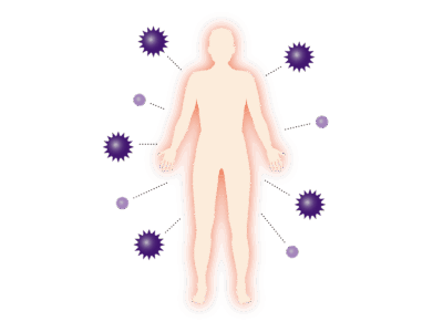 免疫力　イメージ
