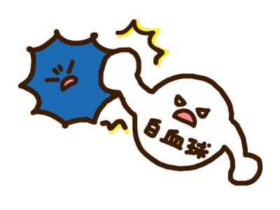 白血球の戦いイメージ

